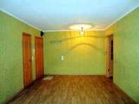 Зал и прихожая (совмещенные)