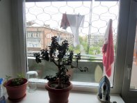 вид с окна