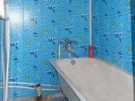 Ванная комната(стены закрыты панелями ПВХ)
